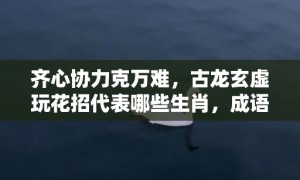 齐心协力克万难，古龙玄虚玩花招代表哪些生肖，成语释义解释落实