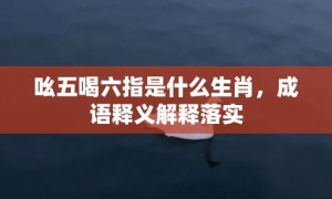 吆五喝六指是什么生肖，成语释义解释落实