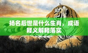 扬名后世是什么生肖，成语释义解释落实