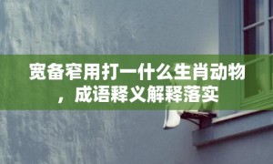 宽备窄用打一什么生肖动物，成语释义解释落实