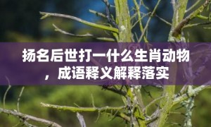 扬名后世打一什么生肖动物，成语释义解释落实