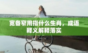 宽备窄用指什么生肖，成语释义解释落实