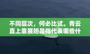 不同层次，何必比试。青云直上靠展翅是指代表哪些什么生肖，成语释义解释落实