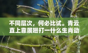 不同层次，何必比试。青云直上靠展翅打一什么生肖动物，成语释义解释落实