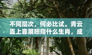 不同层次，何必比试。青云直上靠展翅指什么生肖，成语释义解释落实