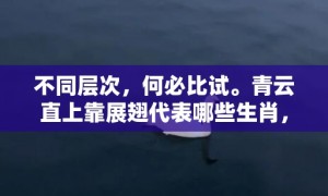 不同层次，何必比试。青云直上靠展翅代表哪些生肖，成语释义解释落实