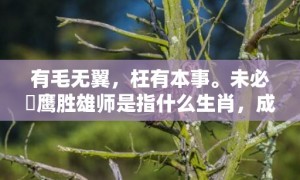 有毛无翼，枉有本事。未必蒼鹰胜雄师是指什么生肖，成语释义解释落实