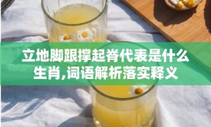 立地脚跟撑起脊代表是什么生肖,词语解析落实释义