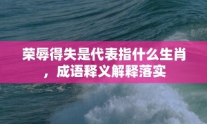 荣辱得失是代表指什么生肖，成语释义解释落实