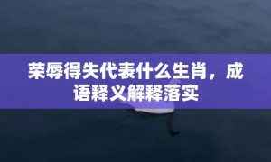 荣辱得失代表什么生肖，成语释义解释落实