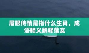 眉眼传情是指什么生肖，成语释义解释落实