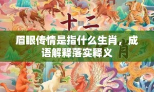 眉眼传情是指什么生肖，成语解释落实释义