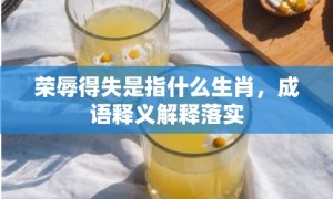 荣辱得失是指什么生肖，成语释义解释落实