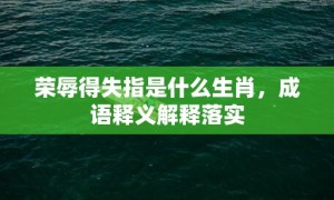 荣辱得失指是什么生肖，成语释义解释落实