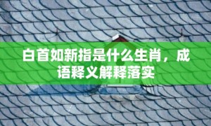 白首如新指是什么生肖，成语释义解释落实