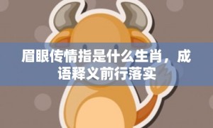 眉眼传情指是什么生肖，成语释义前行落实