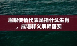 眉眼传情代表是指什么生肖，成语释义解释落实