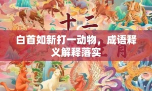 白首如新打一动物，成语释义解释落实