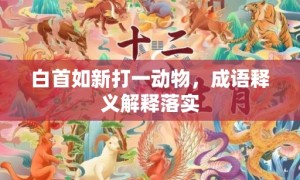 白首如新打一动物，成语释义解释落实