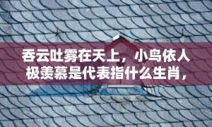 吞云吐雾在天上，小鸟依人极羡慕是代表指什么生肖，成语释义解释落实