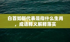 白首如新代表是指什么生肖，成语释义解释落实