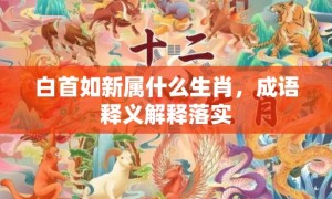 白首如新属什么生肖，成语释义解释落实