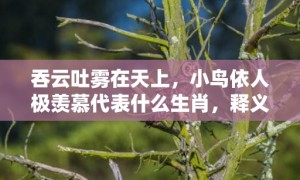 吞云吐雾在天上，小鸟依人极羡慕代表什么生肖，释义成语解释落实