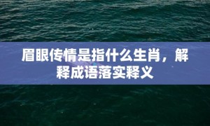 眉眼传情是指什么生肖，解释成语落实释义