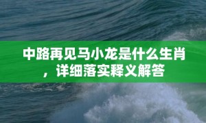 中路再见马小龙是什么生肖，详细落实释义解答