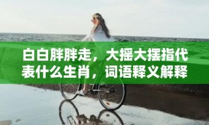 白白胖胖走，大摇大摆指代表什么生肖，词语释义解释落实