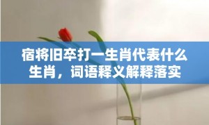 宿将旧卒打一生肖代表什么生肖，词语释义解释落实