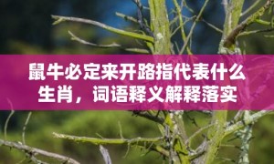 鼠牛必定来开路指代表什么生肖，词语释义解释落实