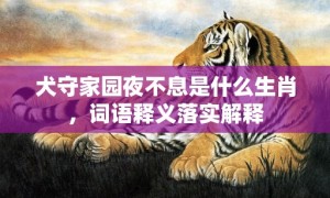 犬守家园夜不息是什么生肖，词语释义落实解释