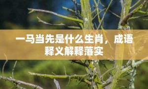 一马当先是什么生肖，成语释义解释落实