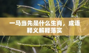 一马当先是什么生肖，成语释义解释落实