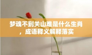 梦魂不到关山难是什么生肖，成语释义解释落实