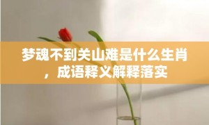 梦魂不到关山难是什么生肖，成语释义解释落实