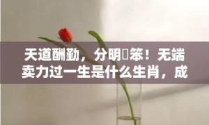 天道酬勤，分明搵笨！无端卖力过一生是什么生肖，成语释义解释落实