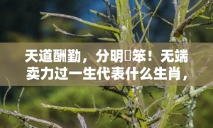 天道酬勤，分明搵笨！无端卖力过一生代表什么生肖，成语释义解释落实