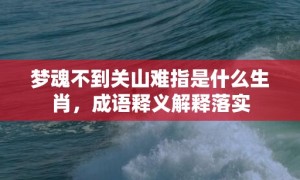 梦魂不到关山难指是什么生肖，成语释义解释落实