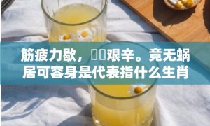 筋疲力歇，備嘗艰辛。竟无蜗居可容身是代表指什么生肖，成语释义解释落实