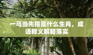 一马当先指是什么生肖，成语释义解释落实