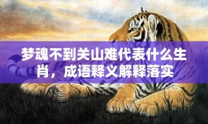 梦魂不到关山难代表什么生肖，成语释义解释落实