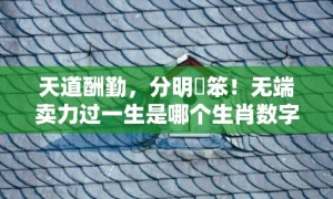 天道酬勤，分明搵笨！无端卖力过一生是哪个生肖数字，成语释义解释落实