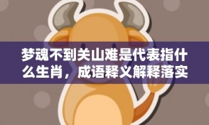 梦魂不到关山难是代表指什么生肖，成语释义解释落实