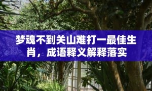 梦魂不到关山难打一最佳生肖，成语释义解释落实