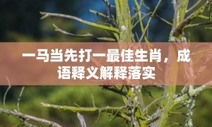 一马当先打一最佳生肖，成语释义解释落实