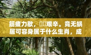 筋疲力歇，備嘗艰辛。竟无蜗居可容身属于什么生肖，成语释义解释落实