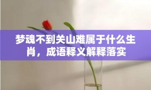 梦魂不到关山难属于什么生肖，成语释义解释落实