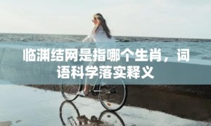 临渊结网是指哪个生肖，词语科学落实释义